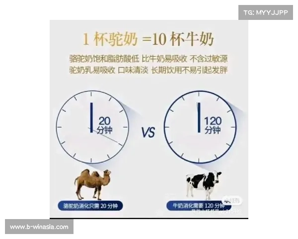 杭锦旗依托赛事平台推介骆驼奶制品助力地方特色产业发展 杭锦旗依托赛事平台推介骆驼奶制品助力地方特色产业发展